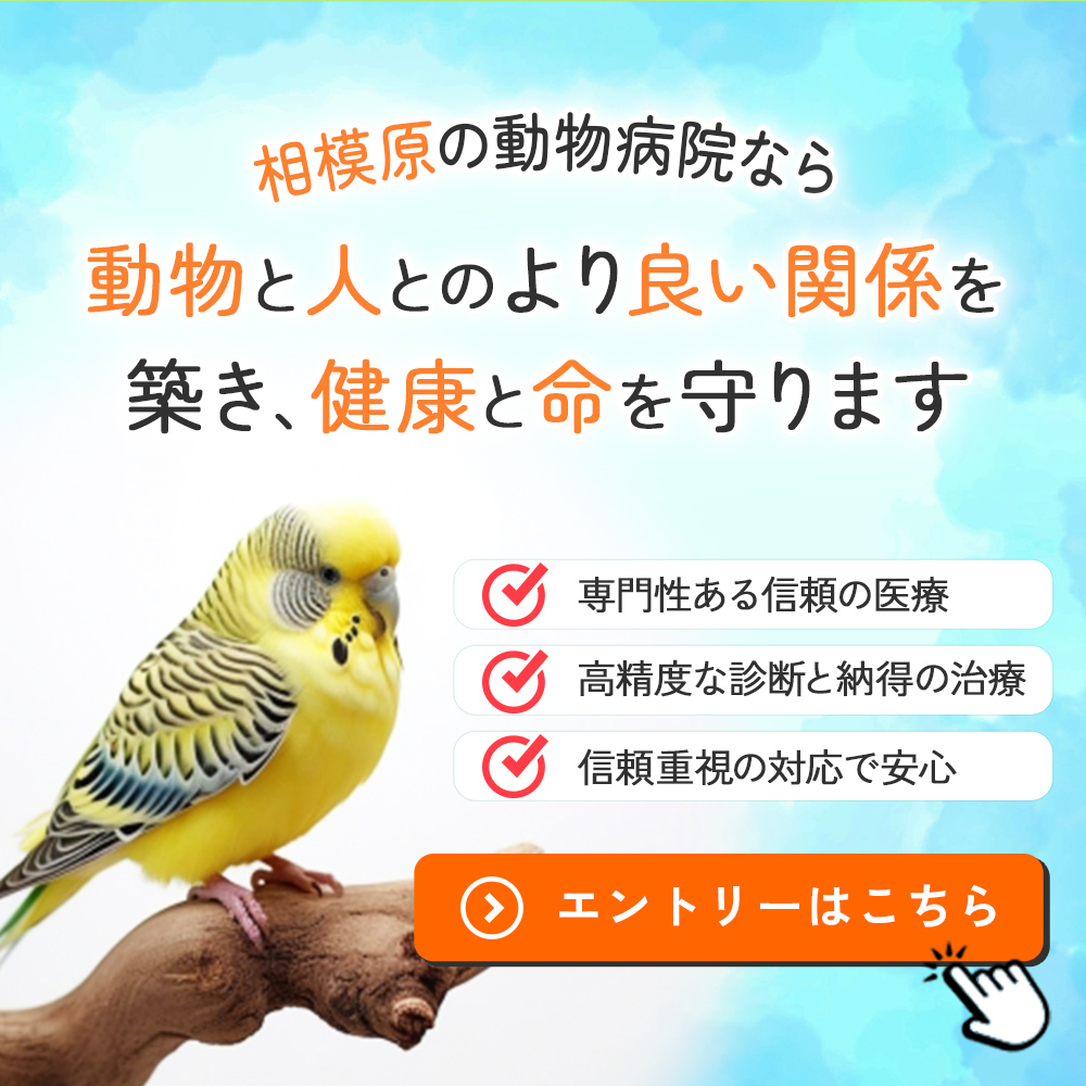 popup_banner2
